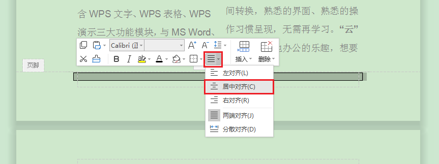 WPS文字技巧—文档分栏后如何按栏添加页码-小平平